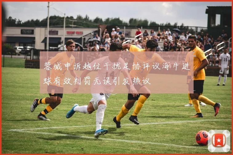 蓉城申诉越位干扰足协评议海牛进球有效判罚无误引发热议